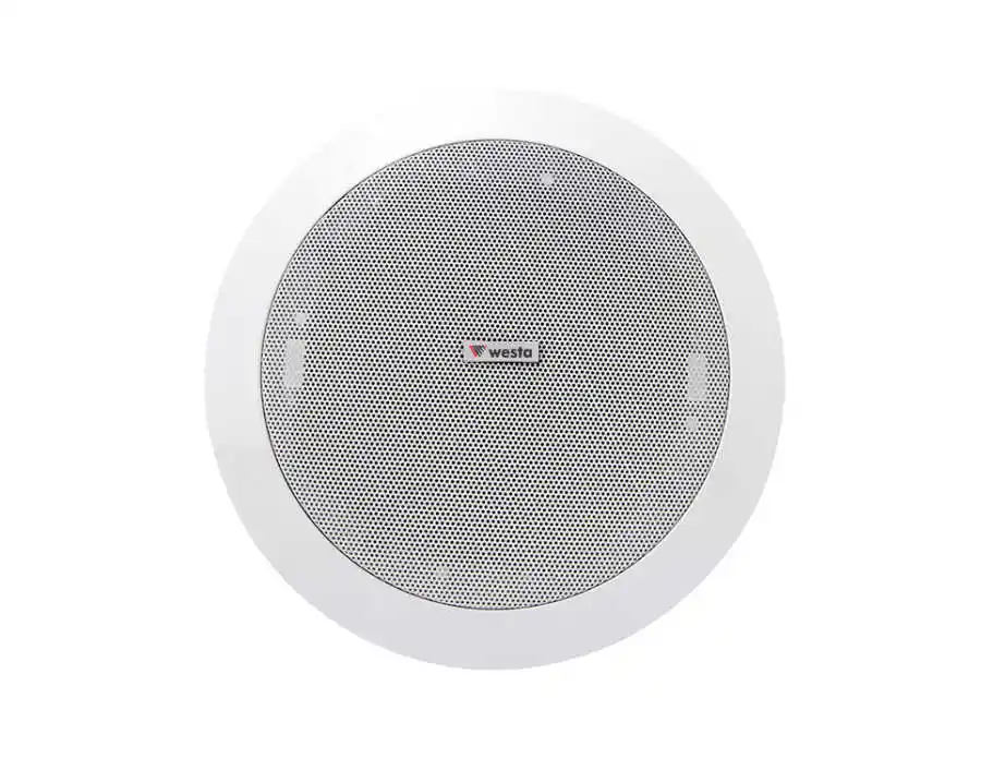 WS-509 Trafolu, Tweeterlı Gömme Tip Hoparlör